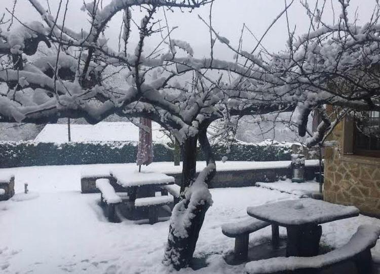 Hotel Restaurante La Carasca Orlé エクステリア 写真