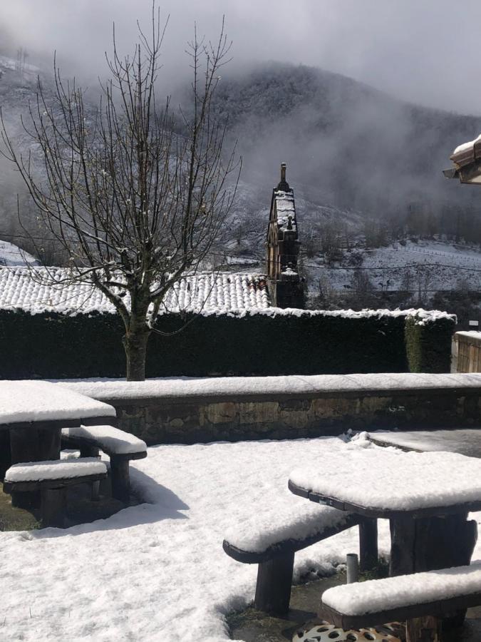 Hotel Restaurante La Carasca Orlé エクステリア 写真
